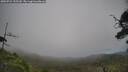 ./images/calvert/fitz-hugh-hecate/20250724/fitz-hugh-hecate20250724_155510M.jpg