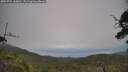 ./images/calvert/fitz-hugh-hecate/20250724/fitz-hugh-hecate20250724_160011M.jpg