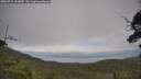 ./images/calvert/fitz-hugh-hecate/20250724/fitz-hugh-hecate20250724_161010M.jpg