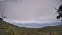 ./images/calvert/fitz-hugh-hecate/20250724/fitz-hugh-hecate20250724_161509M.jpg