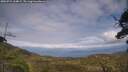 ./images/calvert/fitz-hugh-hecate/20250724/fitz-hugh-hecate20250724_164009M.jpg