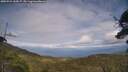 ./images/calvert/fitz-hugh-hecate/20250724/fitz-hugh-hecate20250724_165006M.jpg
