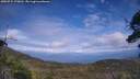 ./images/calvert/fitz-hugh-hecate/20250724/fitz-hugh-hecate20250724_170011M.jpg