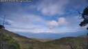 ./images/calvert/fitz-hugh-hecate/20250724/fitz-hugh-hecate20250724_171509M.jpg