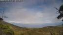 ./images/calvert/fitz-hugh-hecate/20250724/fitz-hugh-hecate20250724_172509M.jpg