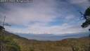 ./images/calvert/fitz-hugh-hecate/20250724/fitz-hugh-hecate20250724_174511M.jpg