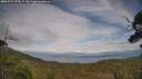 ./images/calvert/fitz-hugh-hecate/20250724/fitz-hugh-hecate20250724_175007M.jpg