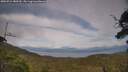 ./images/calvert/fitz-hugh-hecate/20250724/fitz-hugh-hecate20250724_180510M.jpg