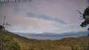./images/calvert/fitz-hugh-hecate/20250724/fitz-hugh-hecate20250724_181010M.jpg