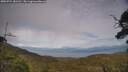./images/calvert/fitz-hugh-hecate/20250724/fitz-hugh-hecate20250724_181511M.jpg