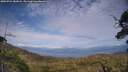 ./images/calvert/fitz-hugh-hecate/20250724/fitz-hugh-hecate20250724_182008M.jpg