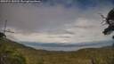 ./images/calvert/fitz-hugh-hecate/20250724/fitz-hugh-hecate20250724_183509M.jpg