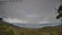 ./images/calvert/fitz-hugh-hecate/20250724/fitz-hugh-hecate20250724_184009M.jpg