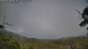 ./images/calvert/fitz-hugh-hecate/20250724/fitz-hugh-hecate20250724_184510M.jpg