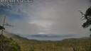 ./images/calvert/fitz-hugh-hecate/20250724/fitz-hugh-hecate20250724_185010M.jpg