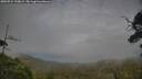 ./images/calvert/fitz-hugh-hecate/20250724/fitz-hugh-hecate20250724_190009M.jpg
