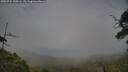 ./images/calvert/fitz-hugh-hecate/20250724/fitz-hugh-hecate20250724_190506M.jpg