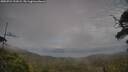 ./images/calvert/fitz-hugh-hecate/20250724/fitz-hugh-hecate20250724_191009M.jpg