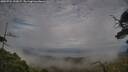./images/calvert/fitz-hugh-hecate/20250724/fitz-hugh-hecate20250724_192007M.jpg
