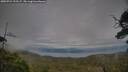 ./images/calvert/fitz-hugh-hecate/20250724/fitz-hugh-hecate20250724_192507M.jpg