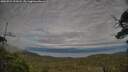 ./images/calvert/fitz-hugh-hecate/20250724/fitz-hugh-hecate20250724_193008M.jpg