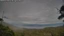 ./images/calvert/fitz-hugh-hecate/20250724/fitz-hugh-hecate20250724_193506M.jpg