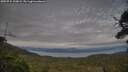 ./images/calvert/fitz-hugh-hecate/20250724/fitz-hugh-hecate20250724_200009M.jpg