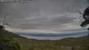 ./images/calvert/fitz-hugh-hecate/20250724/fitz-hugh-hecate20250724_200508M.jpg
