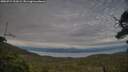 ./images/calvert/fitz-hugh-hecate/20250724/fitz-hugh-hecate20250724_201009M.jpg