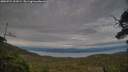 ./images/calvert/fitz-hugh-hecate/20250724/fitz-hugh-hecate20250724_202009M.jpg