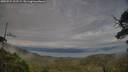 ./images/calvert/fitz-hugh-hecate/20250724/fitz-hugh-hecate20250724_202509M.jpg