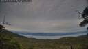 ./images/calvert/fitz-hugh-hecate/20250724/fitz-hugh-hecate20250724_205508M.jpg