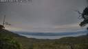 ./images/calvert/fitz-hugh-hecate/20250724/fitz-hugh-hecate20250724_210508M.jpg