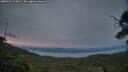 ./images/calvert/fitz-hugh-hecate/20250724/fitz-hugh-hecate20250724_214009M.jpg