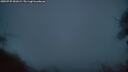 ./images/calvert/fitz-hugh-hecate/20250725/fitz-hugh-hecate20250725_051009M.jpg