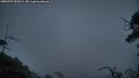 ./images/calvert/fitz-hugh-hecate/20250725/fitz-hugh-hecate20250725_052008M.jpg
