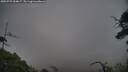 ./images/calvert/fitz-hugh-hecate/20250725/fitz-hugh-hecate20250725_054007M.jpg