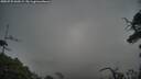 ./images/calvert/fitz-hugh-hecate/20250725/fitz-hugh-hecate20250725_060508M.jpg