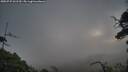 ./images/calvert/fitz-hugh-hecate/20250725/fitz-hugh-hecate20250725_061510M.jpg