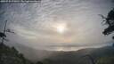 ./images/calvert/fitz-hugh-hecate/20250725/fitz-hugh-hecate20250725_072011M.jpg