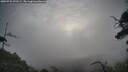 ./images/calvert/fitz-hugh-hecate/20250725/fitz-hugh-hecate20250725_072509M.jpg