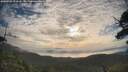 ./images/calvert/fitz-hugh-hecate/20250725/fitz-hugh-hecate20250725_073510M.jpg