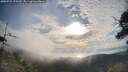 ./images/calvert/fitz-hugh-hecate/20250725/fitz-hugh-hecate20250725_075509M.jpg