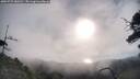 ./images/calvert/fitz-hugh-hecate/20250725/fitz-hugh-hecate20250725_080510M.jpg