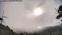 ./images/calvert/fitz-hugh-hecate/20250725/fitz-hugh-hecate20250725_081010M.jpg