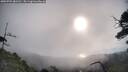 ./images/calvert/fitz-hugh-hecate/20250725/fitz-hugh-hecate20250725_081511M.jpg