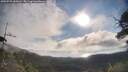 ./images/calvert/fitz-hugh-hecate/20250725/fitz-hugh-hecate20250725_083010M.jpg