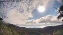./images/calvert/fitz-hugh-hecate/20250725/fitz-hugh-hecate20250725_083509M.jpg