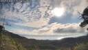./images/calvert/fitz-hugh-hecate/20250725/fitz-hugh-hecate20250725_084009M.jpg