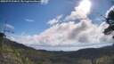 ./images/calvert/fitz-hugh-hecate/20250725/fitz-hugh-hecate20250725_094008M.jpg
